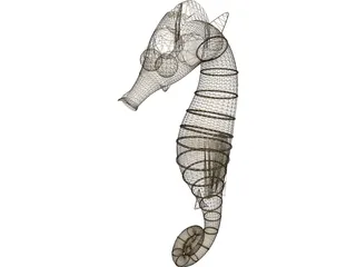 Seahorse 3D Model