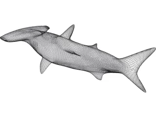 Shark 3D Model