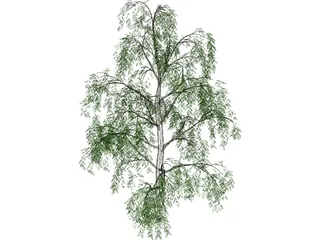 Tree 3D Model