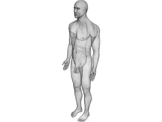 Man 3D Model