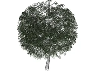 Tree 3D Model