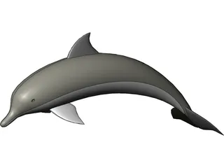 Dolphin 3D Model