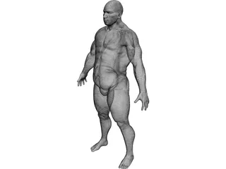 Man 3D Model