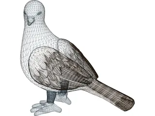 Pigeon 3D Model