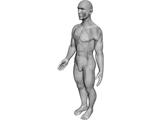 Man 3D Model