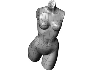 Female Torso 3D Model