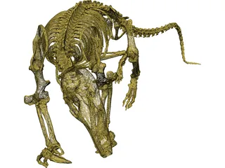 Skeleton Prehistoric 3D Model