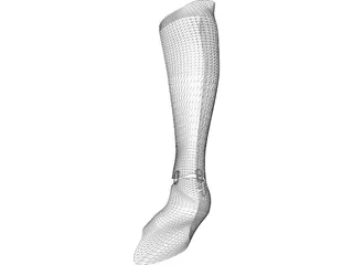 Orthopedic Leg Brace 3D Model