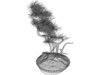 Bonsai Tree 3D Model