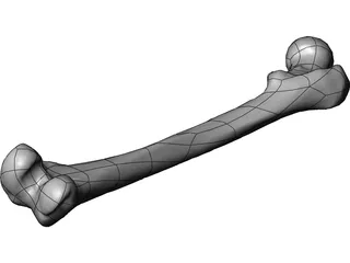 Femur Bone 3D Model