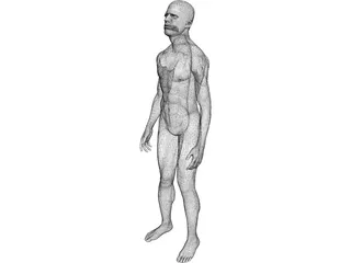 Man Human 3D Model