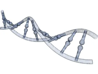 DNA 3D Model