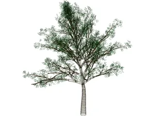 Tree 3D Model