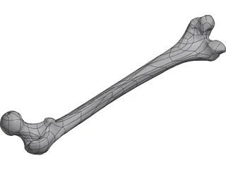 Femur Bone 3D Model