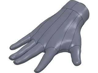 Human Hand 3D Model