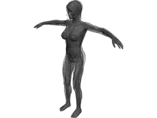 Female Anatomy Complete 3D Model
