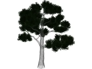 Pine Tree 3D Model