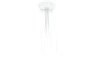 Jellyfish 3D Model