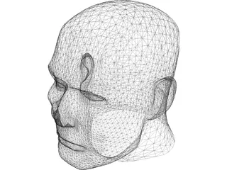 Male Human Head 3D Model