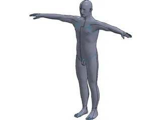 Man 3D Model