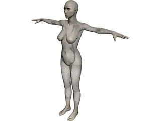 Female 3D Model