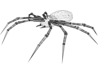 Poison Spider 3D Model