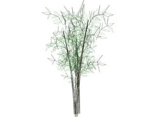 Bamboo Tree 3D Model