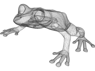 Frog 3D Model