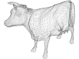 Bull Udder 3D Model