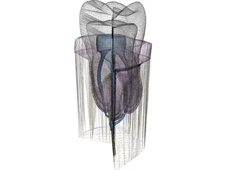 Molar Cutaway 3D Model