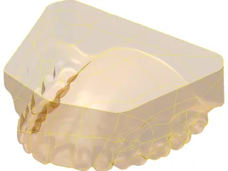 Teeth Upper Surface 3D Model