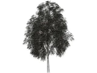 Pine Wood Tree 3D Model