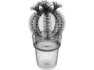 Cactus Pottet Round 3D Model