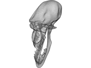 Monster Skull 3D Model