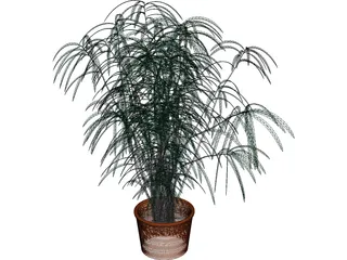 Indoor Plant 3D Model