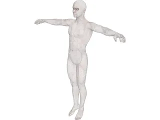 Human Body with Muscles 3D Model