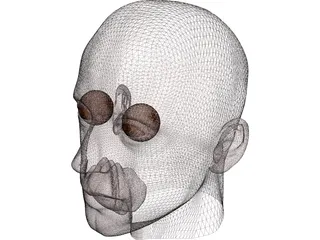 Man Head 3D Model