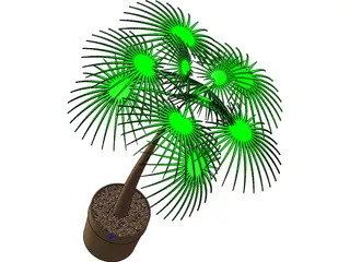 Palm Tree Plant 3D Model
