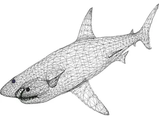 Great White Shark 3D Model