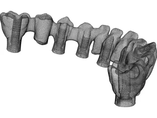 Reduced Mandibula Arcade 3D Model