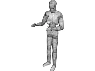 Human 3D Model