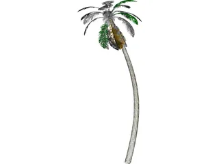 Tree Palm 3D Model