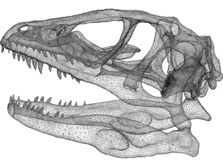 Dinosaur Skull 3D Model