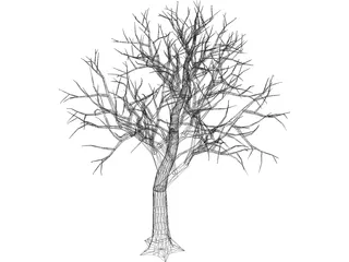 Tree 3D Model