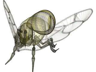 Bee 3D Model