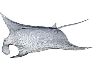 Manta Ray 3D Model