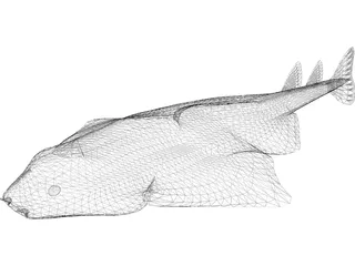 Angel Shark 3D Model