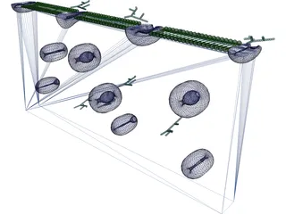 Cell Membrane 3D Model