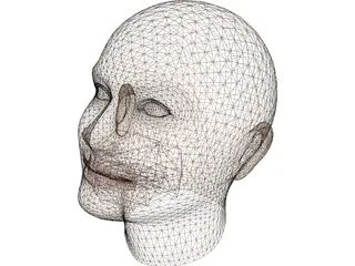 Woman Head 3D Model