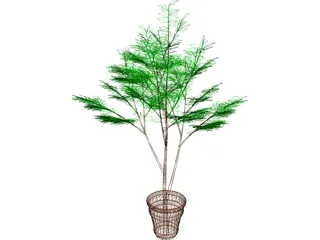 Potted Tree 3D Model